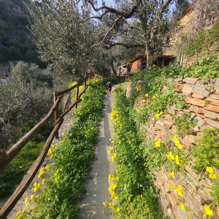 Casa Ninin - Two-Bedroom Apartment with Terrace, Garden and Sea View - 34
