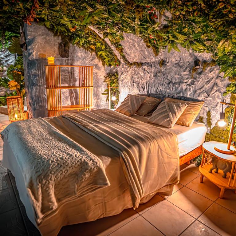 Jungle Caverne- spa privé, logement atypique - Apartment mit 1 Schlafzimmer - 5