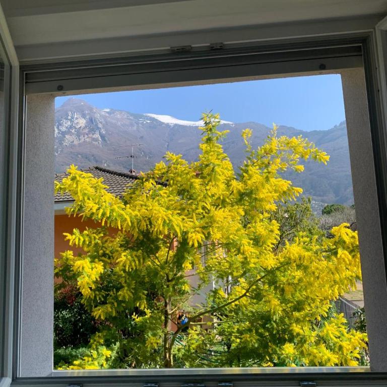 Appartamento caneve - Appartamento con 3 Camere da Letto - 11