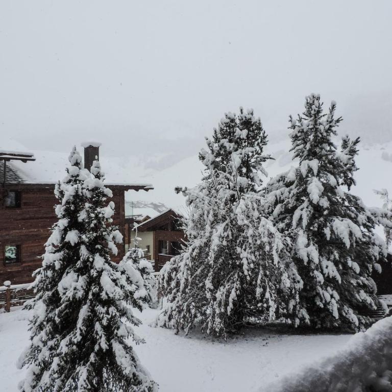Silva: The Alpine Chalet - Deluxe Apartment - 21