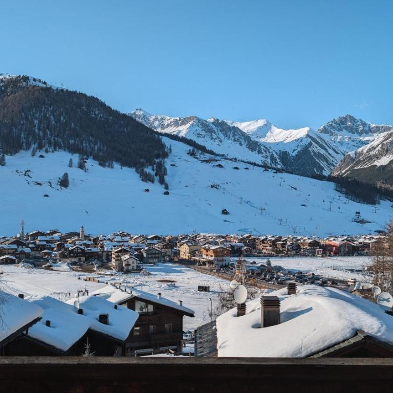 Silva: The Alpine Chalet - Deluxe Apartment - 50
