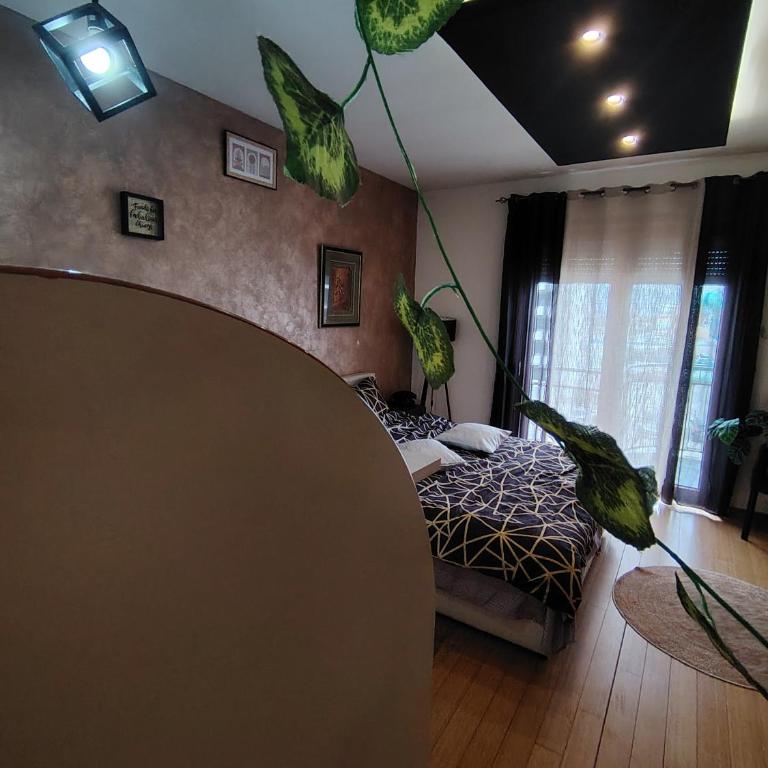 BG apartman - Apartman - 28