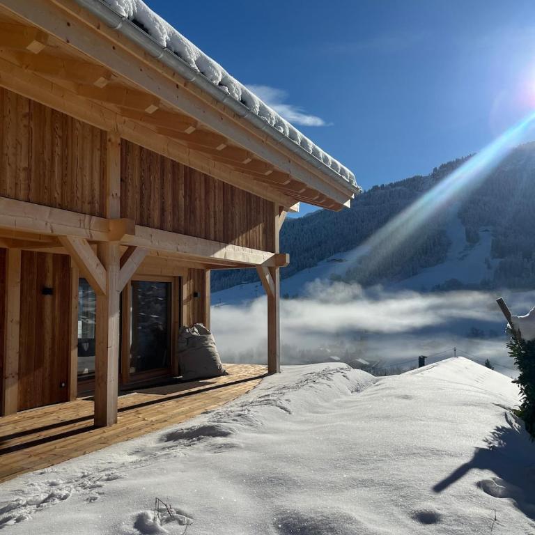Charming new chalet in Praz-sur-Arly - Chalet - 2