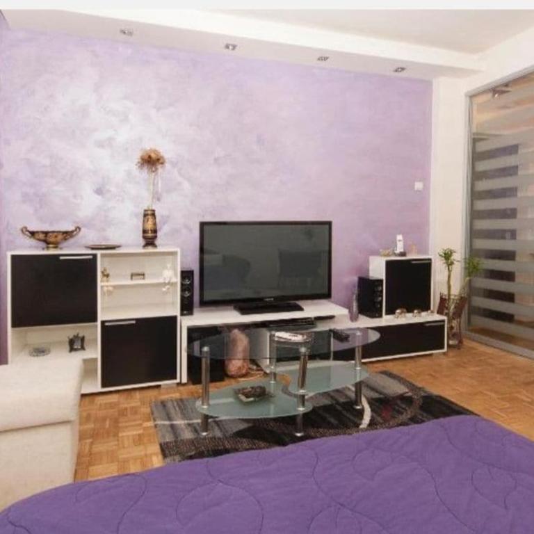 Arena New Belgrade superb studio - Apartman sa 1 Spavaćom Sobom - 9