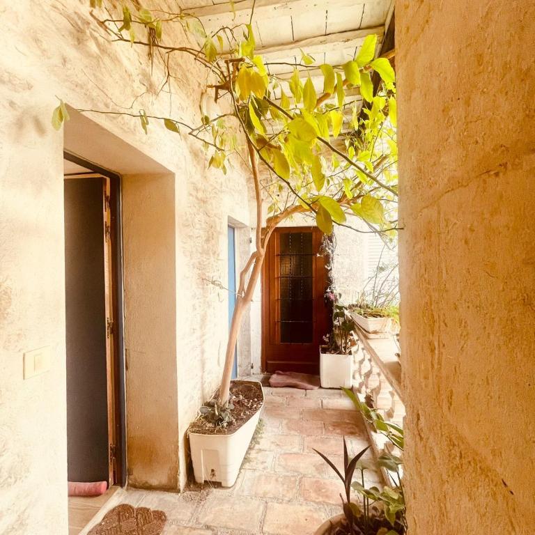 L'écrin de sauge - Centre Nîmes - Appartamento con 1 Camera da Letto - 2