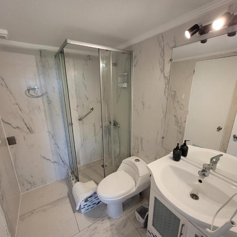 01 Cozy Apart KING bed, parking, Providencia - One-Bedroom Apartment - 3