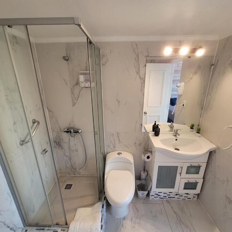 01 Cozy Apart KING bed, parking, Providencia - One-Bedroom Apartment - 10