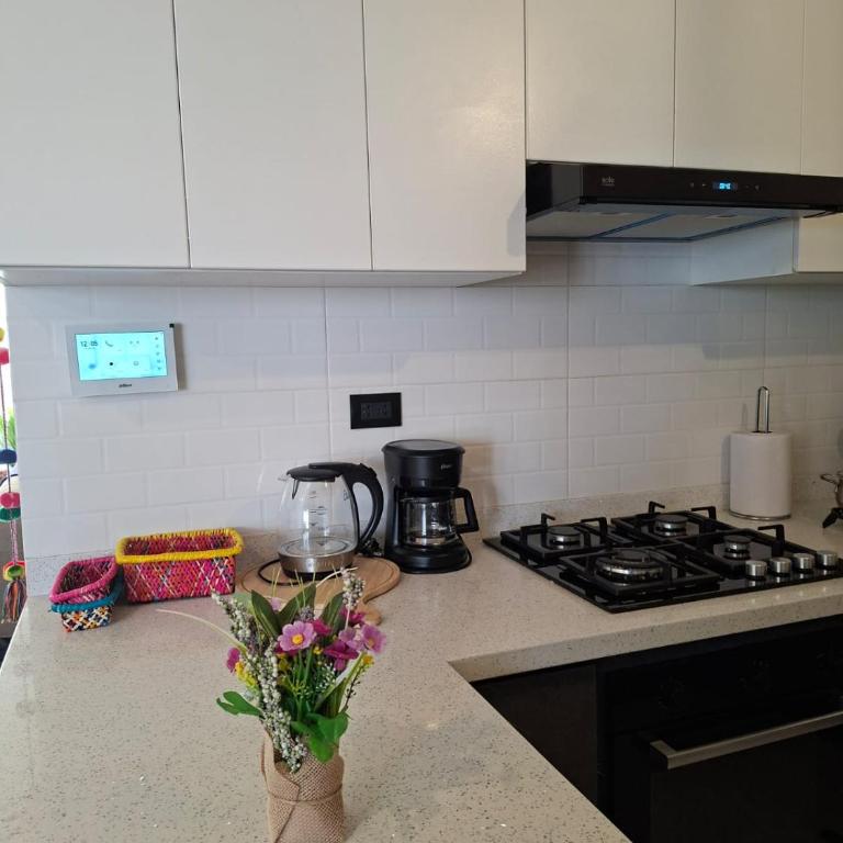 Refugio Andino Modern and New - Apartamento de 1 dormitorio - 18