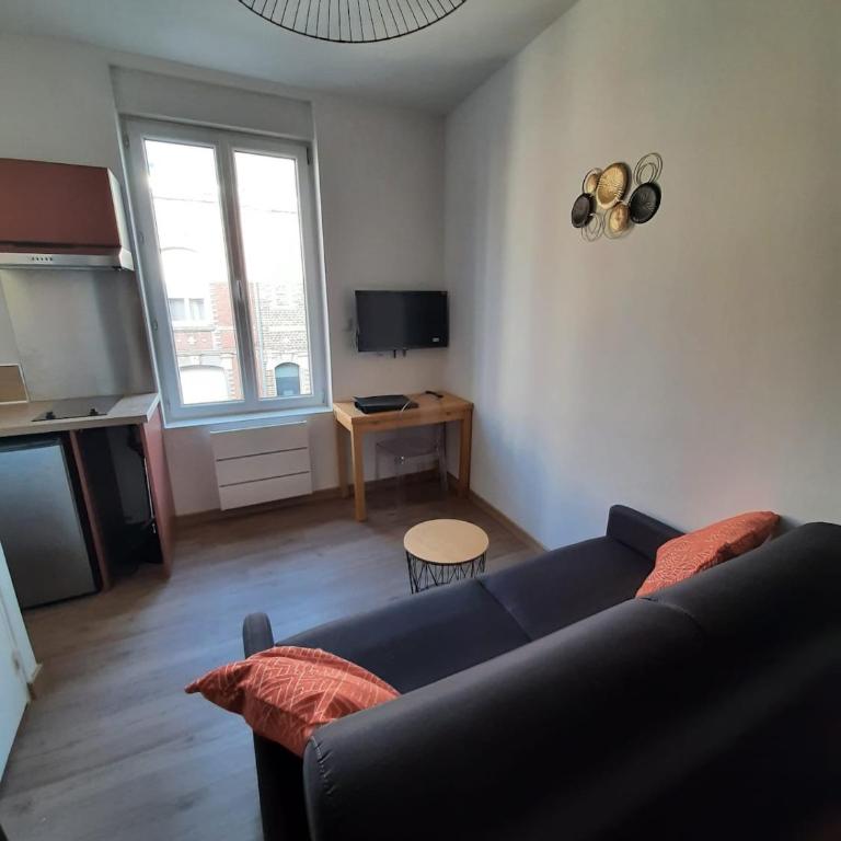 Charmant studio free parking quartier Anglais - Apartment - 1