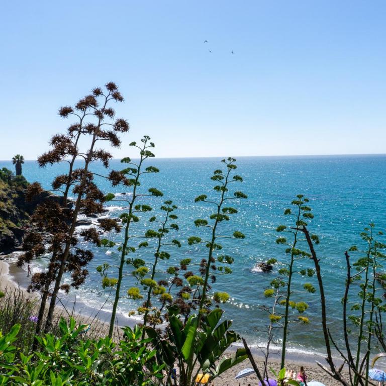 CostaQuebrada D&Y - Apartamento de 2 dormitorios con terraza y vistas al mar - 29