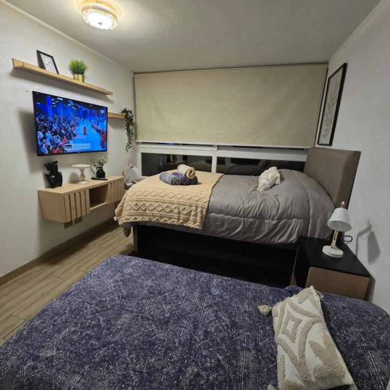 Precioso departamento con excelente ubicacion mas Parcking - One-Bedroom Premium Apartment - 4