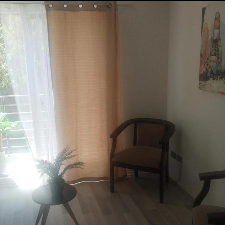 Av Ejército Libertador Movistar Arena Metro Toesca - One-Bedroom Apartment - 3