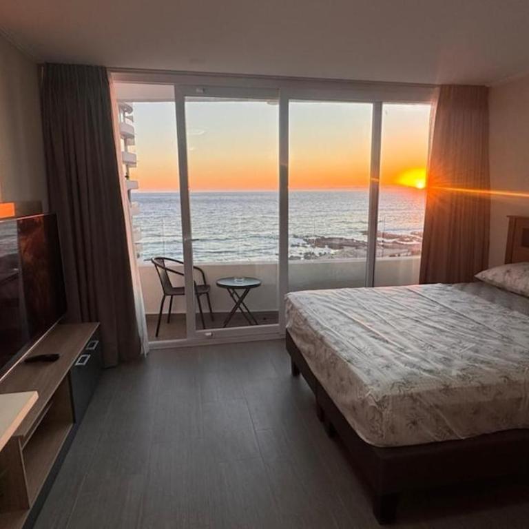 luxurious area - One-Bedroom Apartment - 1