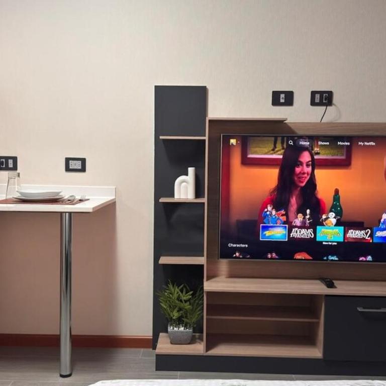 luxurious area - One-Bedroom Apartment - 6