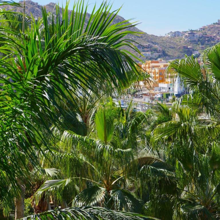 Hacienda Beach Club & Residences - Apartamento - 13