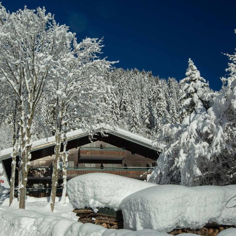 Studio cosy pour 4 personnes avec parking à Châtel - FR-1-676-162 - Estudio - 8