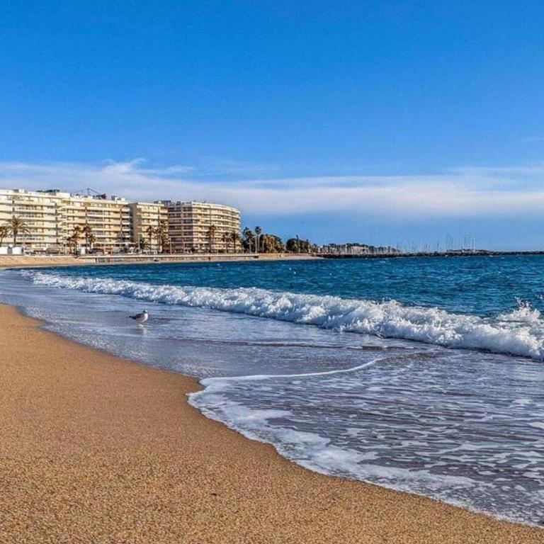 Studio avec piscine et parking - 4 pers. - FR-1-226A-214 - Appartement - 21