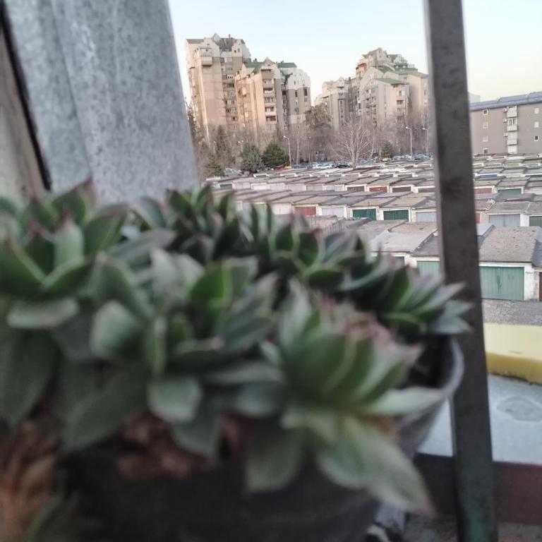 Georgije's apartment - Apartman sa 1 Spavaćom Sobom - 26