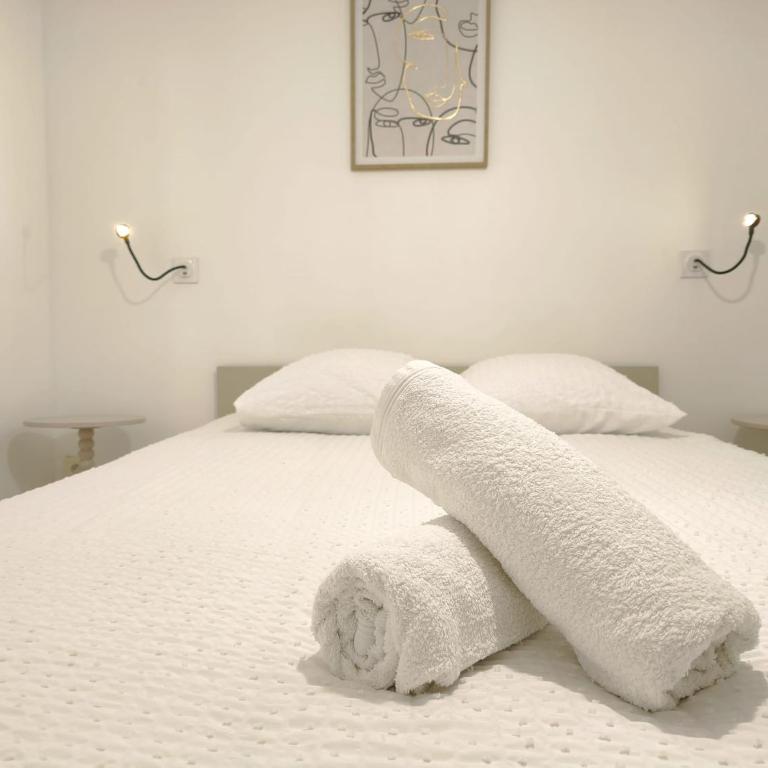 La parenthèse kaki - Appartement 1 Chambre - 24