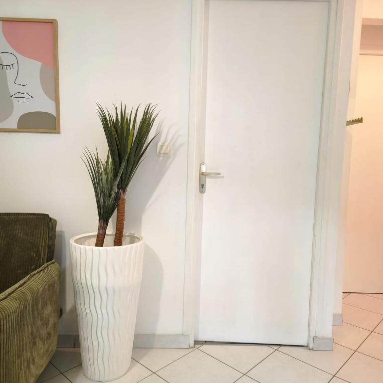 La parenthèse kaki - Appartement 1 Chambre - 32