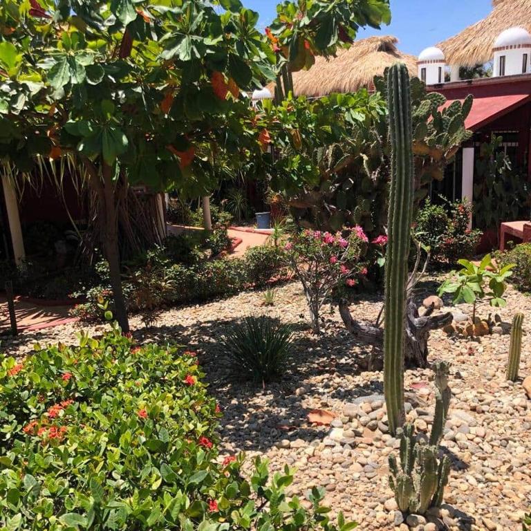 Hidden Gem! Charming 2 Bedroom Vacation Home! - Casa de 2 dormitorios - 8