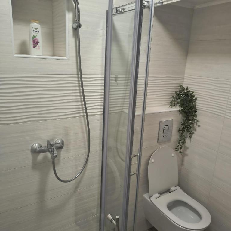 Dea - Apartment with Terrace - 8