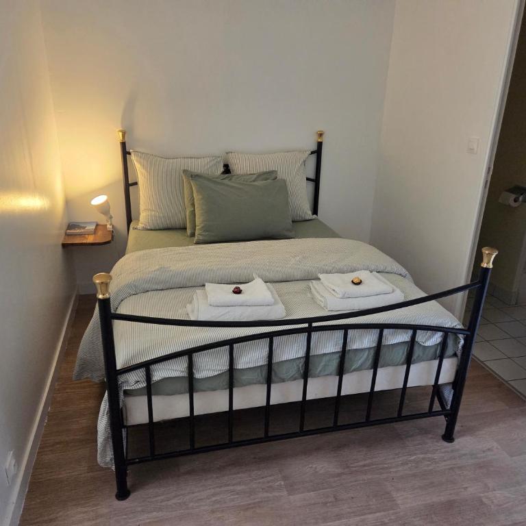 1 bedroom apartment near town centre and CHU - Appartement 1 Chambre - 6
