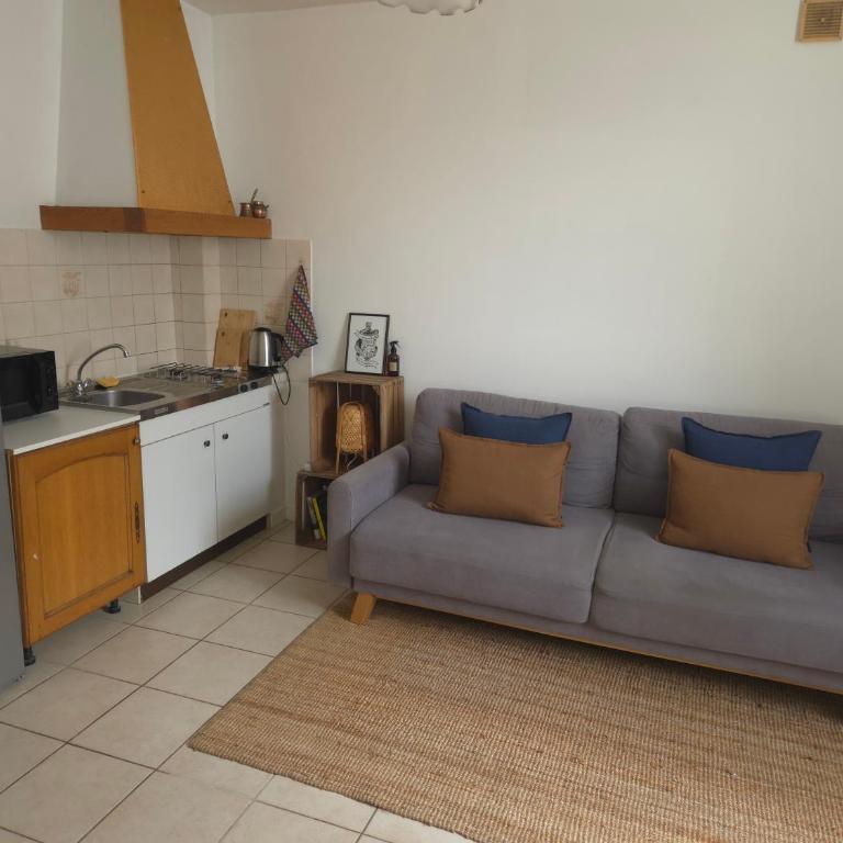 1 bedroom apartment near town centre and CHU - Appartement 1 Chambre - 1