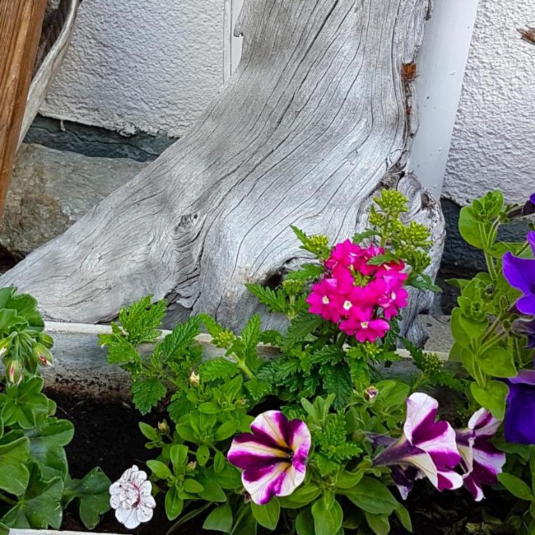 Appartement Lehnbach - Three-Bedroom Apartment - 7