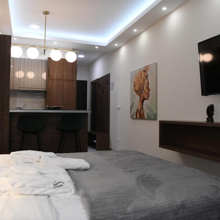 VS Exclusive Luxury Delux Studio with King Bed and Parking - One-Bedroom Apartment - 1