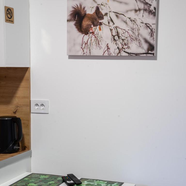 Sunny Village - Squirrel apartments - Studio Apartment - 4