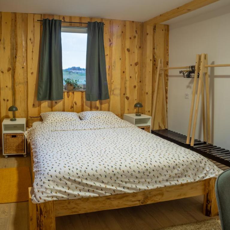Sunny Village - Squirrel apartments - One-Bedroom Apartment - 30