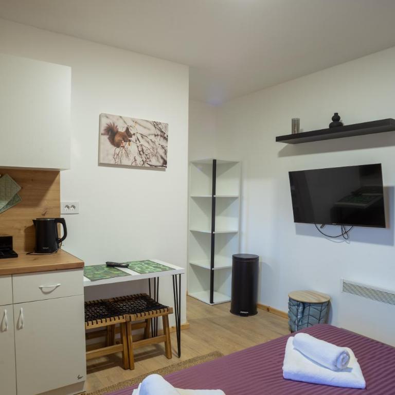 Sunny Village - Squirrel apartments - Studio Apartment - 21