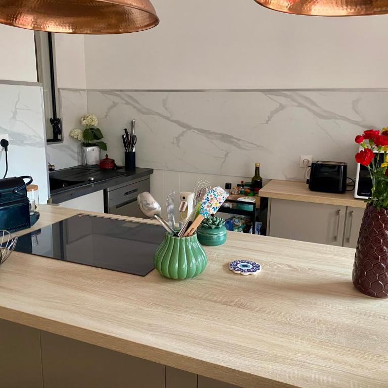 Appart pour 4 pers près de Cannes proche commerces wifi rapide - Room #1184230801 - 3