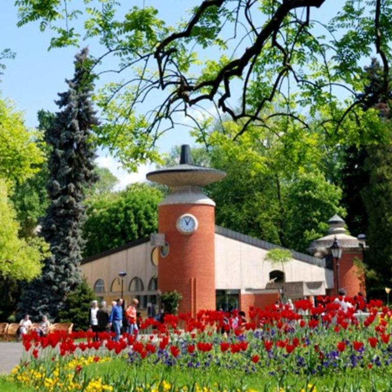 VS Exclusive Luxury Delux Studio with King Bed and Parking - One-Bedroom Apartment - 14