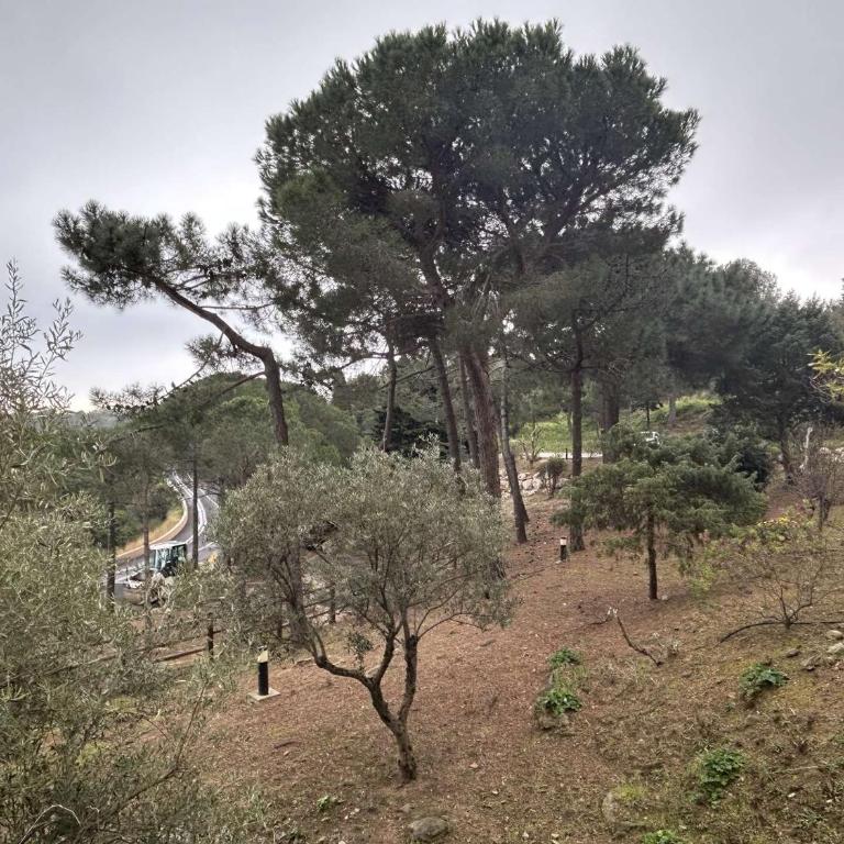 Appart 2 pièces 4 couchages BANYULS SUR MER BN100-B401 - Apartment mit 1 Schlafzimmer - 16