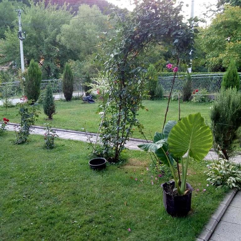 Apartmani Miodragović - nedaleko od Snežnika, 100 metara pre bazena - Apartman sa 1 Spavaćom Sobom - 15