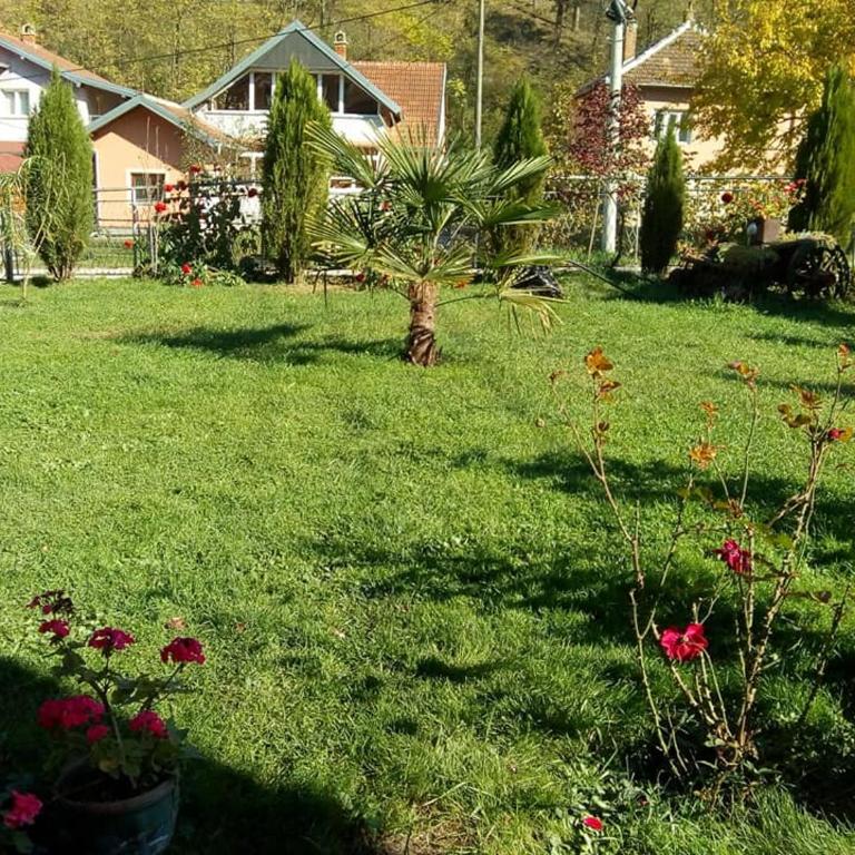 Apartmani Miodragović - nedaleko od Snežnika, 100 metara pre bazena - Apartman sa 1 Spavaćom Sobom - 12
