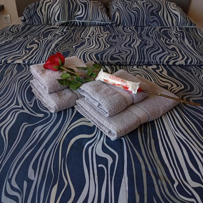 Apartman Slađa - Apartman sa 1 Spavaćom Sobom - 3
