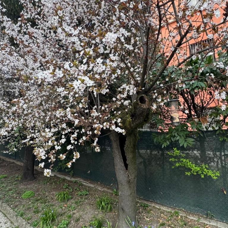 Tamburini 38 Vintage Apartment Near City Center, Parking Included - Appartamento Familiare con 2 Camere da Letto - 2