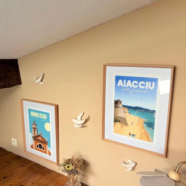 Studio 1er Consul - Appartement 1 Chambre - 24