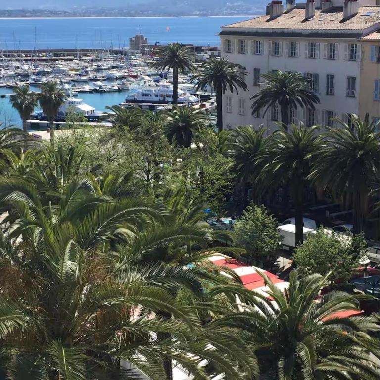 Studio 1er Consul - Appartement 1 Chambre - 36