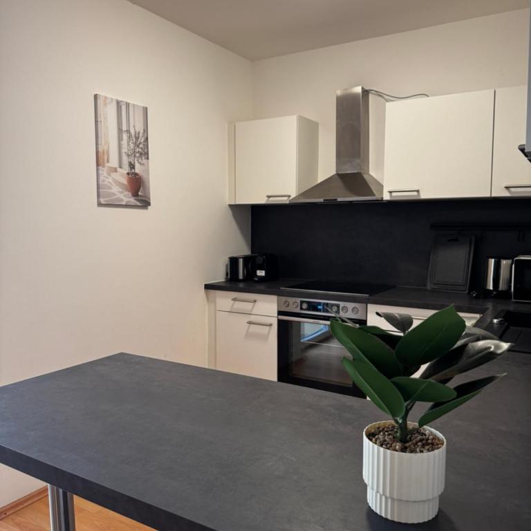 Linz Wasserwald cozy Apartment with 2BR - Apartment mit 2 Schlafzimmern - 13