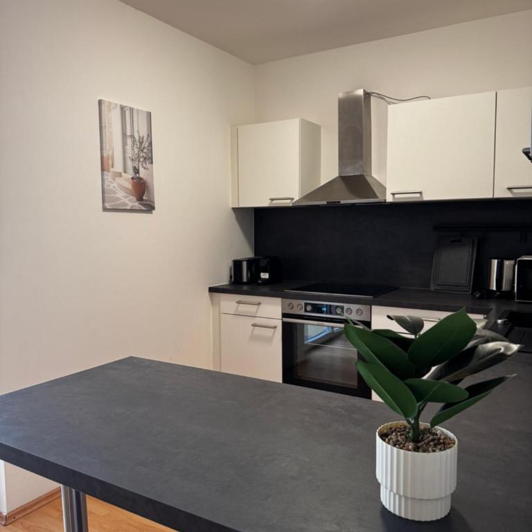 Linz Wasserwald cozy Apartment with 2BR - Apartment mit 2 Schlafzimmern - 9