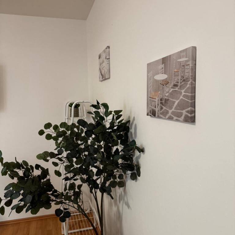 Linz Wasserwald cozy Apartment with 2BR - Apartment mit 2 Schlafzimmern - 17