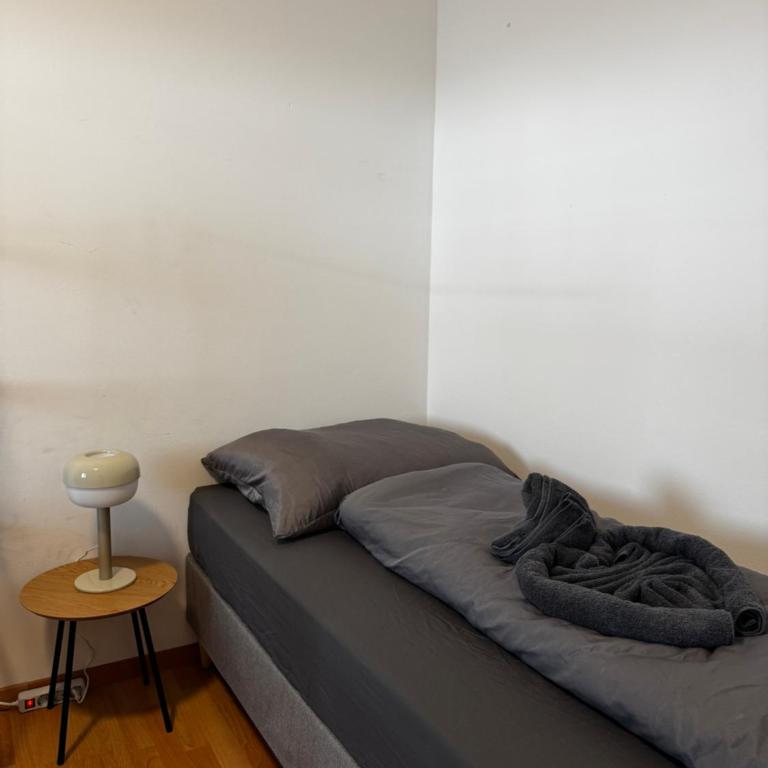 Linz Wasserwald - cozy 2BR Apartment - Apartment mit 2 Schlafzimmern - 10