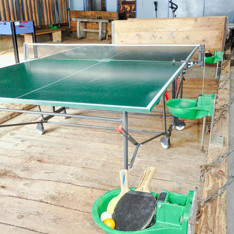 Chalet Alpage - Ferienhaus - 30