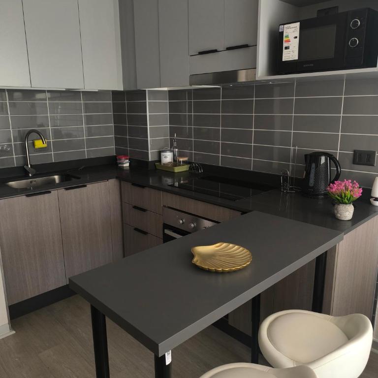 Departamento en Santiago - One-Bedroom Apartment - 14