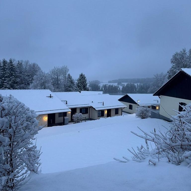 Ferienhaus Nr 114, Kategorie Komfort, Feriendorf Hochbergle, Allgäu - Ferienhaus - 15