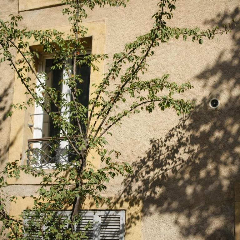 Studio Aix Centre idéal séjour pro & tourisme - Appartement 1 Chambre - 6